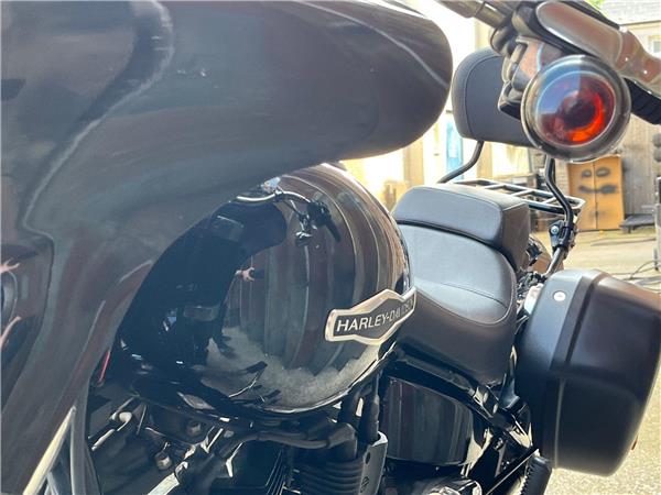2019 Harley-Davidson Softail