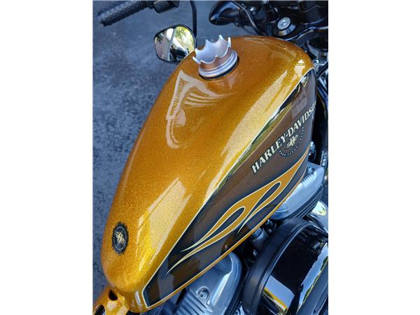 2015 HARLEY-DAVIDSON FORTY EIGHT