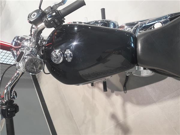 2011 HARLEY-DAVIDSON CUSTOM