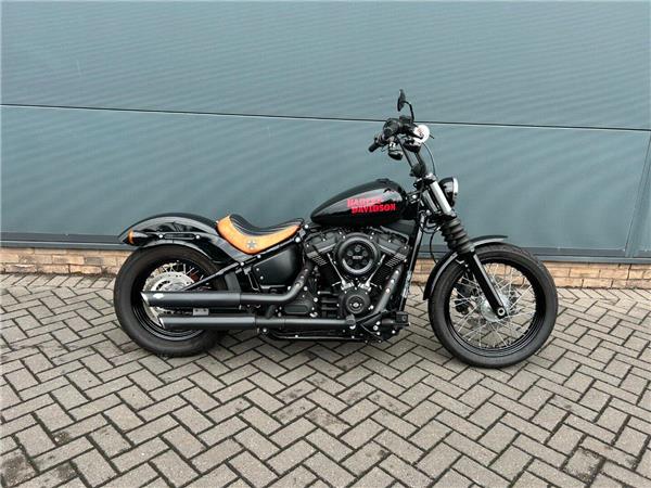 2019 Harley-Davidson Softail