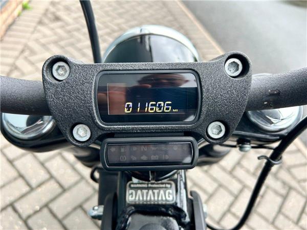 2019 Harley-Davidson Softail