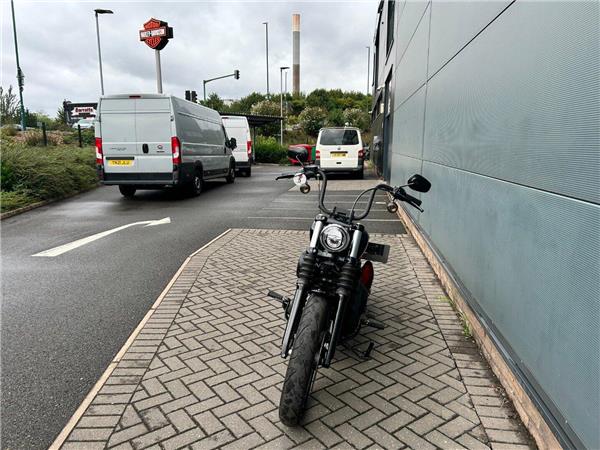 2019 Harley-Davidson Softail