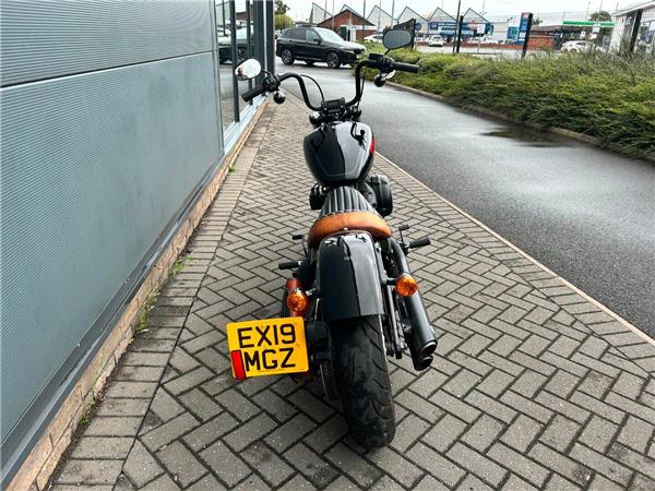 2019 Harley-Davidson Softail