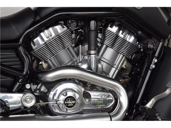 VRSCF V-Rod Muscle
