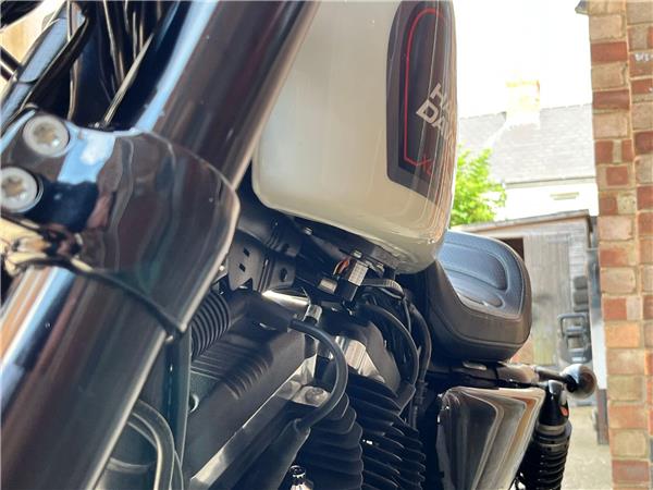 2019 Harley-Davidson Sportster