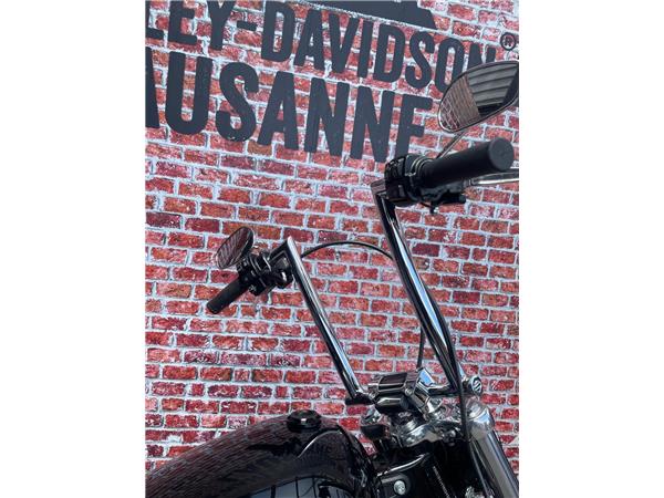 2022 harley-davidson FXST Softail Standard 107