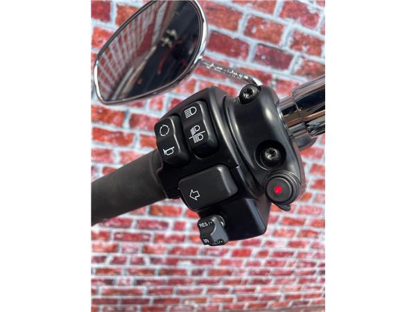 2022 harley-davidson FXST Softail Standard 107