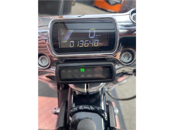 2022 harley-davidson FXST Softail Standard 107