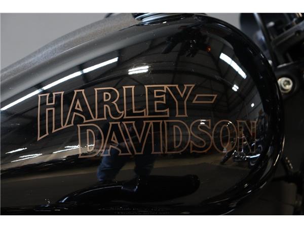 2024 HARLEY-DAVIDSON SOFTAIL FXLRS LOW RIDER S
