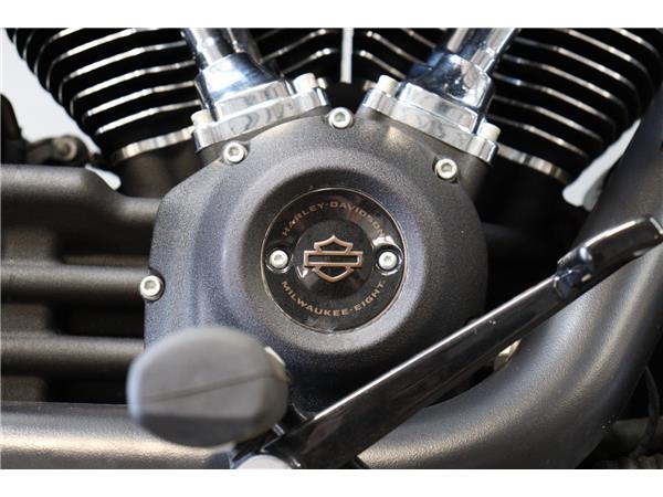2024 HARLEY-DAVIDSON SOFTAIL FXLRS LOW RIDER S