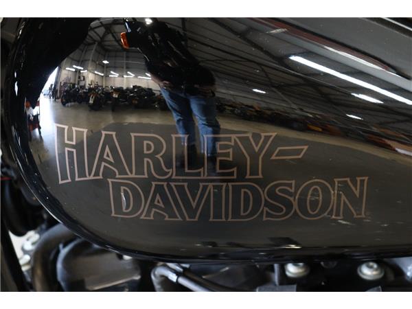 2024 HARLEY-DAVIDSON SOFTAIL FXLRS LOW RIDER S