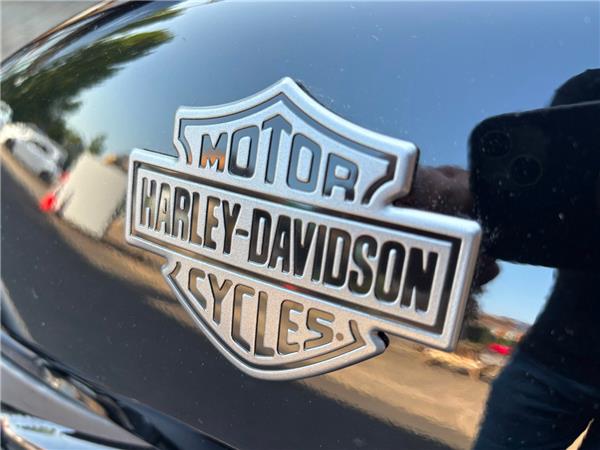 2023 HARLEY-DAVIDSON NIGHTSTER 975