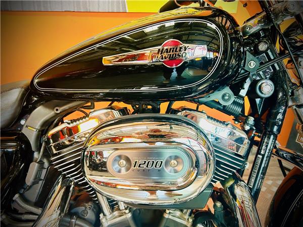 2011 HARLEY-DAVIDSON CUSTOM