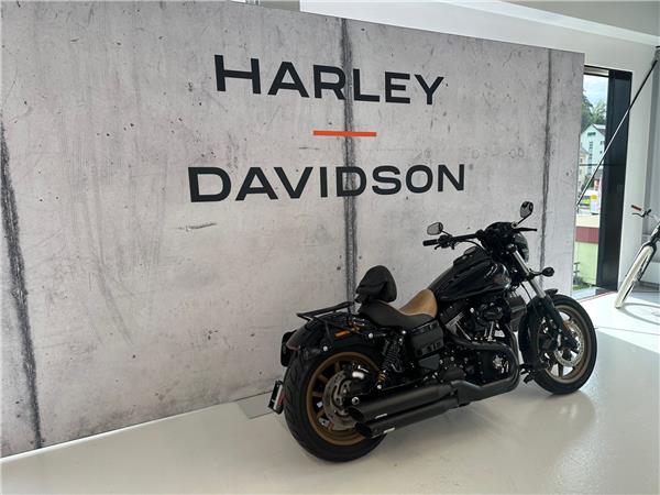 2016 harley-davidson FXDLS 1801 Dyna Low Rider S 110