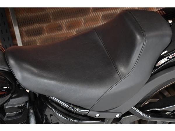 2024 HARLEY-DAVIDSON LOW RIDER S
