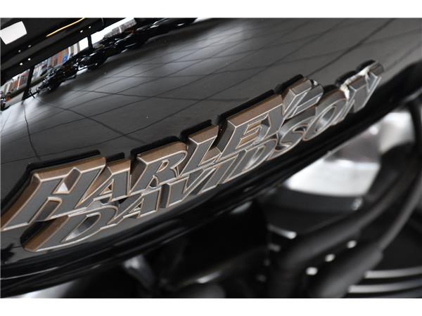 2019 HARLEY-DAVIDSON SOFTAIL FXBB STREET BOB