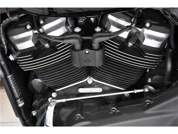 2019 HARLEY-DAVIDSON SOFTAIL FXBB STREET BOB