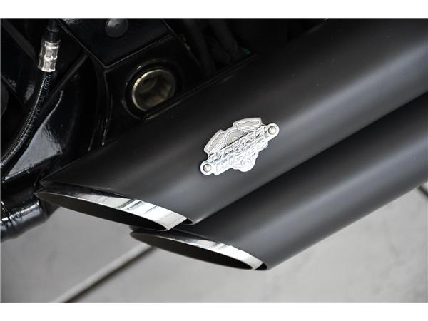2019 HARLEY-DAVIDSON SOFTAIL FXBB STREET BOB