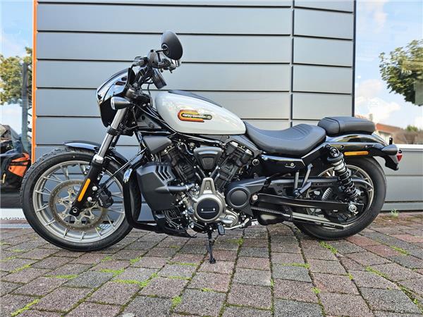 NIGHTSTER SPECIAL 