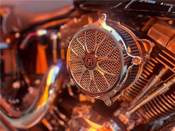 2015 Harley-Davidson Softail Slim FLS