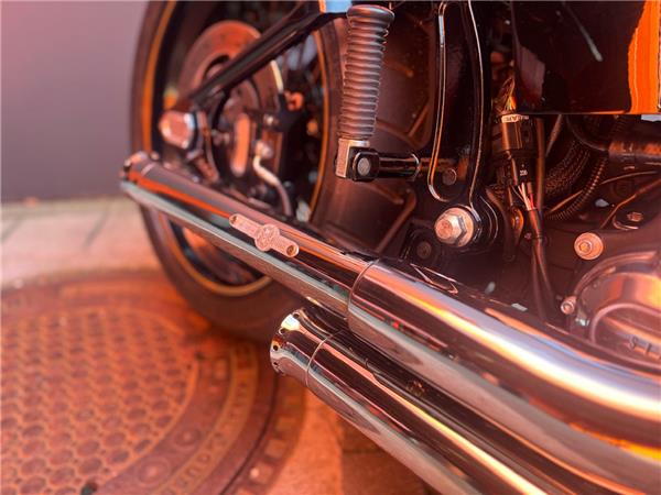2015 Harley-Davidson Softail Slim FLS