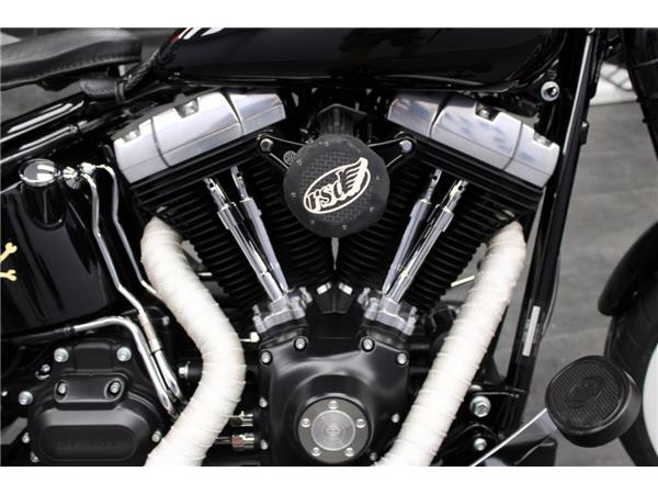 2008 Harley-Davidson Softail Cross Bones