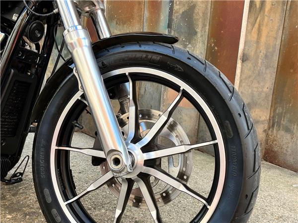 2019 Harley-Davidson Softail