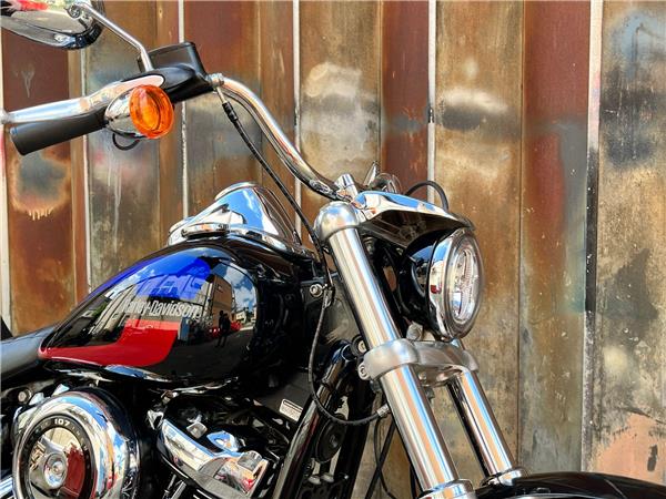 2019 Harley-Davidson Softail