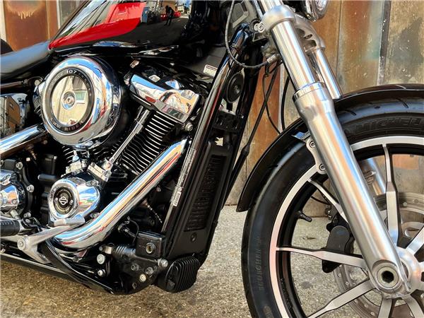 2019 Harley-Davidson Softail