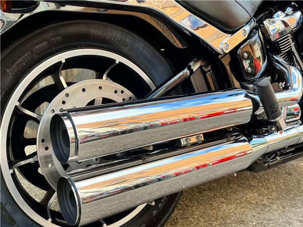 2019 Harley-Davidson Softail