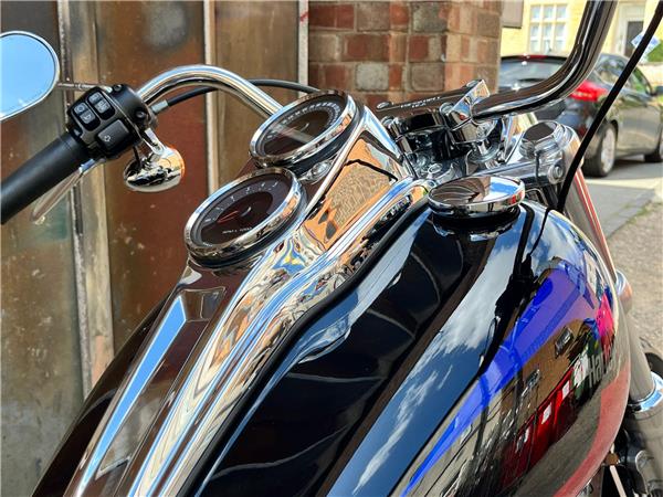 2019 Harley-Davidson Softail