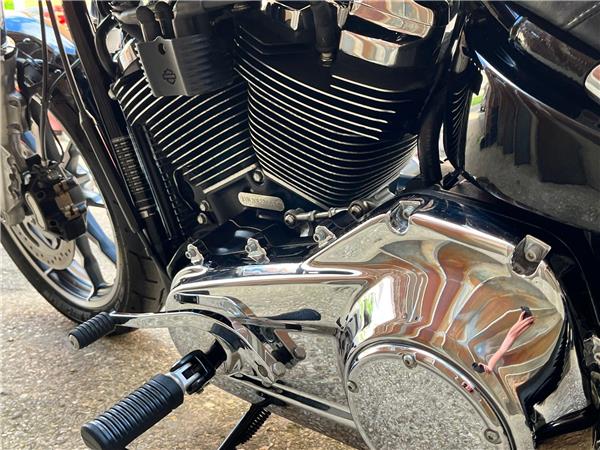 2019 Harley-Davidson Softail
