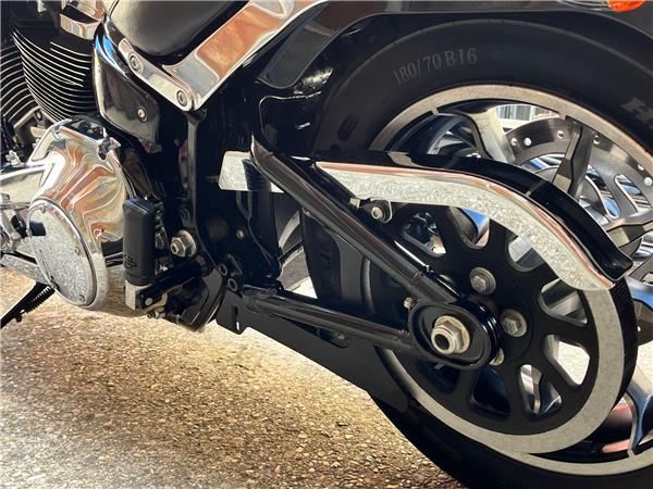 2019 Harley-Davidson Softail