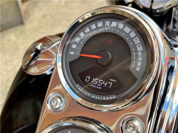 2019 Harley-Davidson Softail