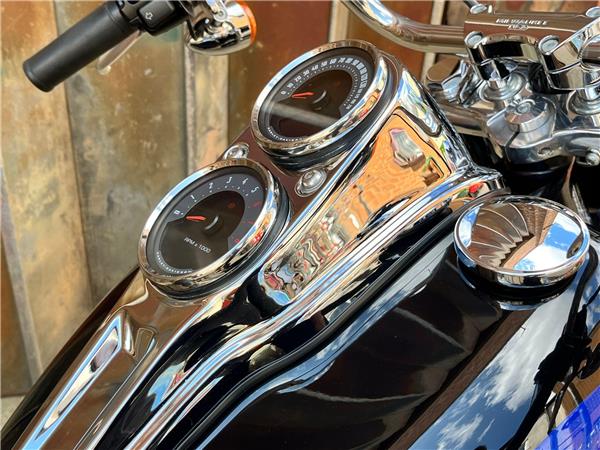2019 Harley-Davidson Softail