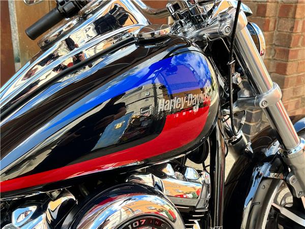 2019 Harley-Davidson Softail