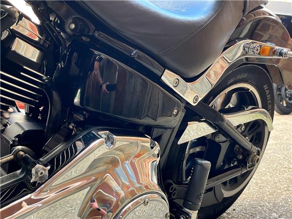 2019 Harley-Davidson Softail