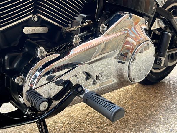 2019 Harley-Davidson Softail