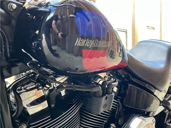 2019 Harley-Davidson Softail