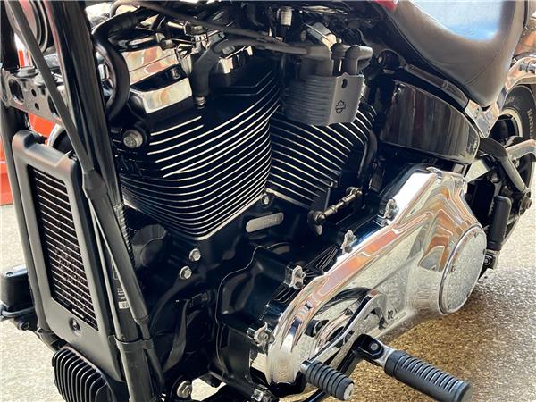 2019 Harley-Davidson Softail