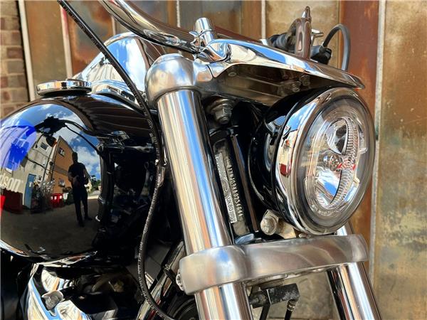 2019 Harley-Davidson Softail