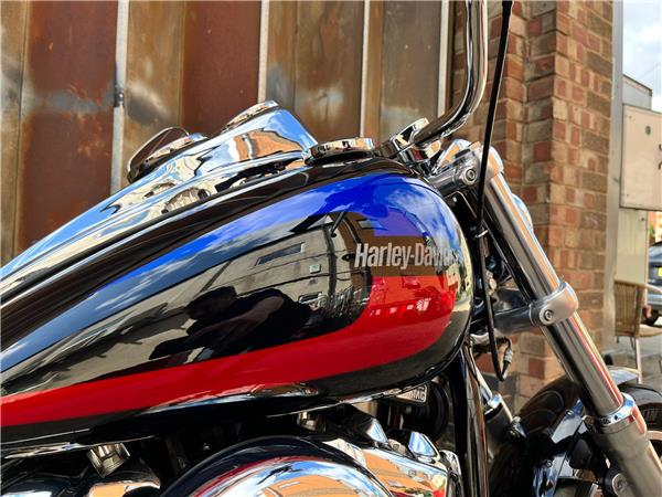 2019 Harley-Davidson Softail
