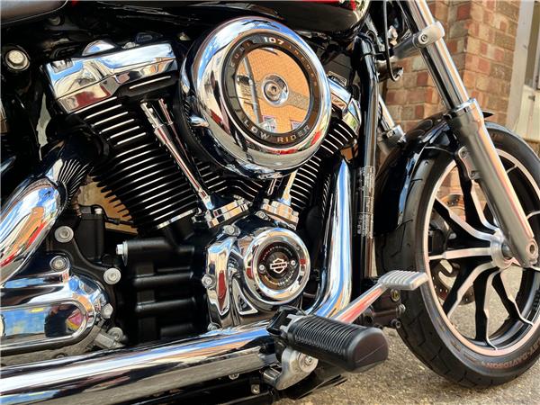 2019 Harley-Davidson Softail