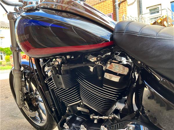 2019 Harley-Davidson Softail