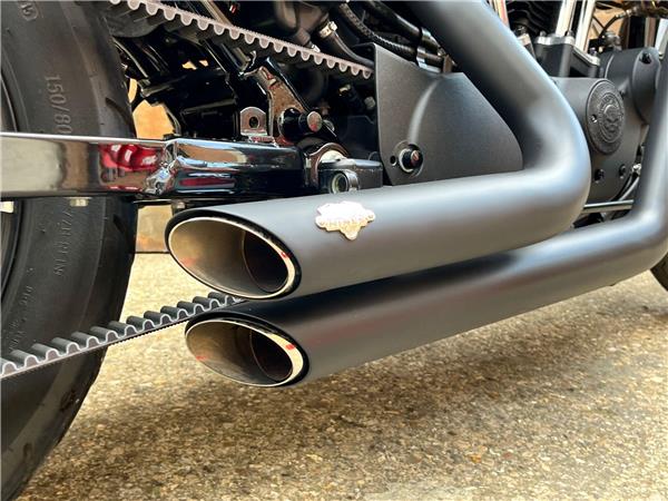 2016 Harley-Davidson Sportster