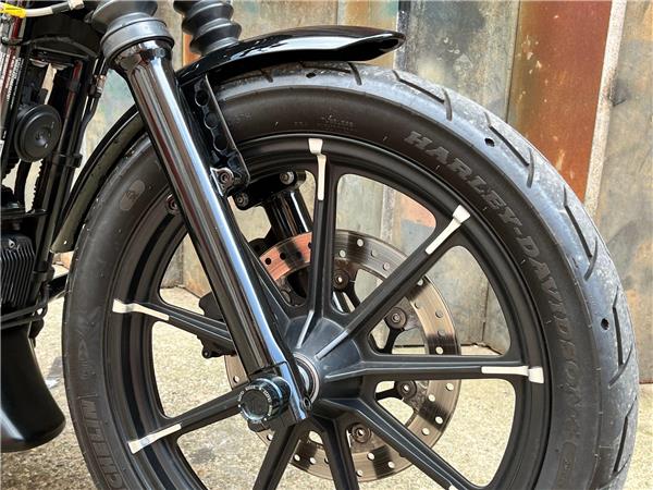 2016 Harley-Davidson Sportster