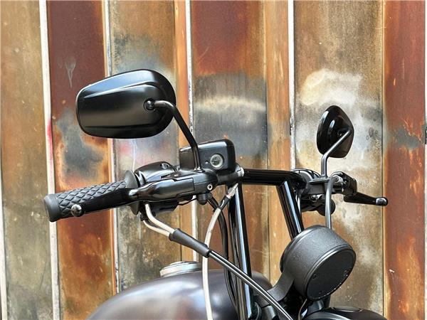 2016 Harley-Davidson Sportster