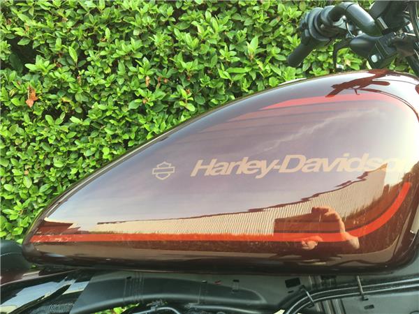 2019 HARLEY-DAVIDSON SPORTSTER 1200