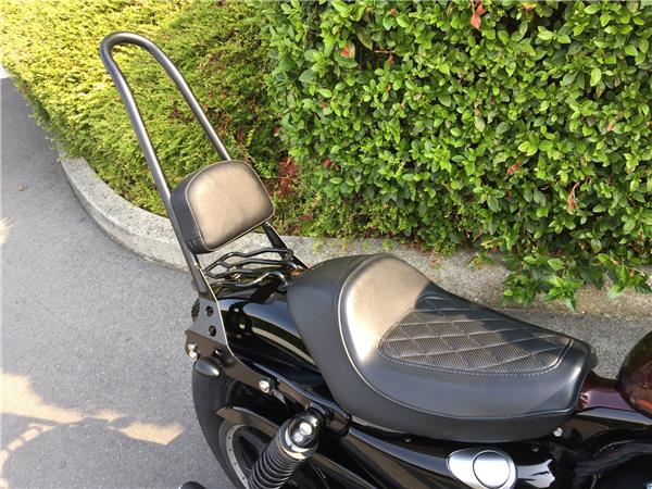 2019 HARLEY-DAVIDSON SPORTSTER 1200