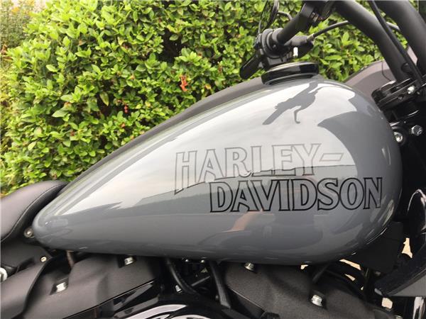 2022 HARLEY-DAVIDSON LOW RIDER